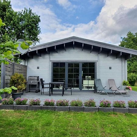 Idyllisches-Blockbohlenhaus-Mit-Eigenem-Garten-Und-Sauna-Zum-Wohlfuehlen Martensrade Kültér fotó