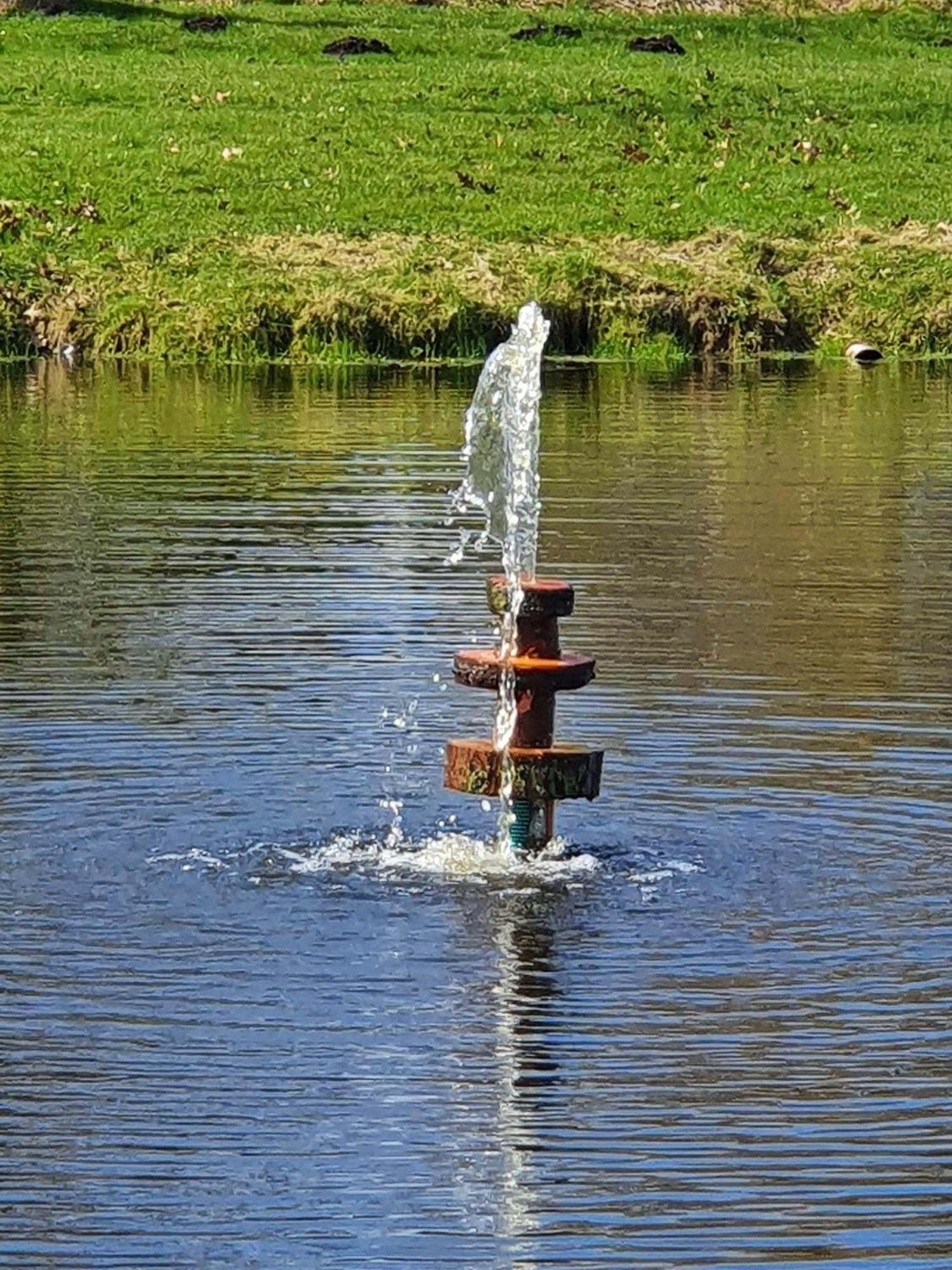 Idyllisches-Blockbohlenhaus-Mit-Eigenem-Garten-Und-Sauna-Zum-Wohlfuehlen Martensrade Kültér fotó