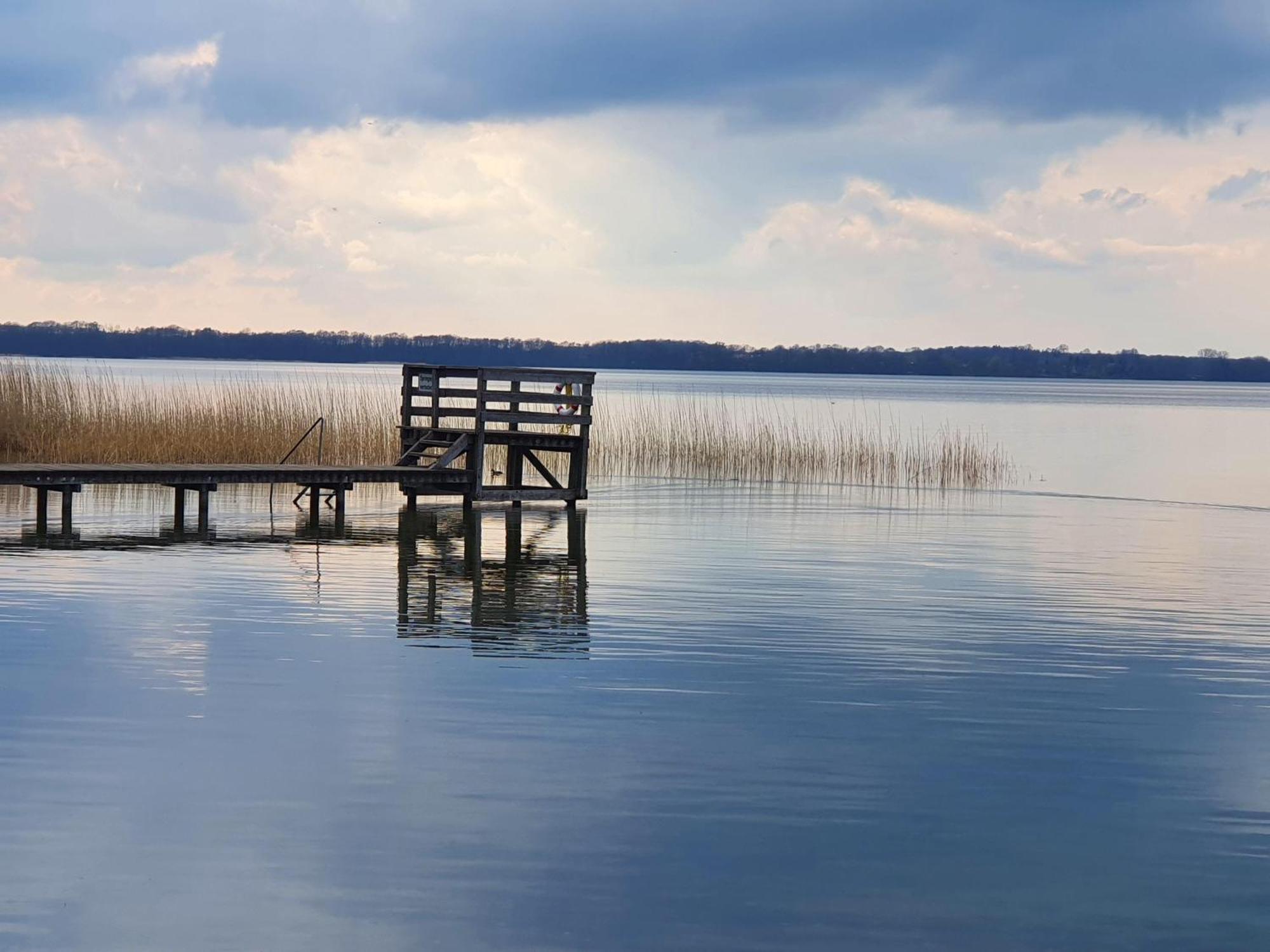 Idyllisches-Blockbohlenhaus-Mit-Eigenem-Garten-Und-Sauna-Zum-Wohlfuehlen Martensrade Kültér fotó