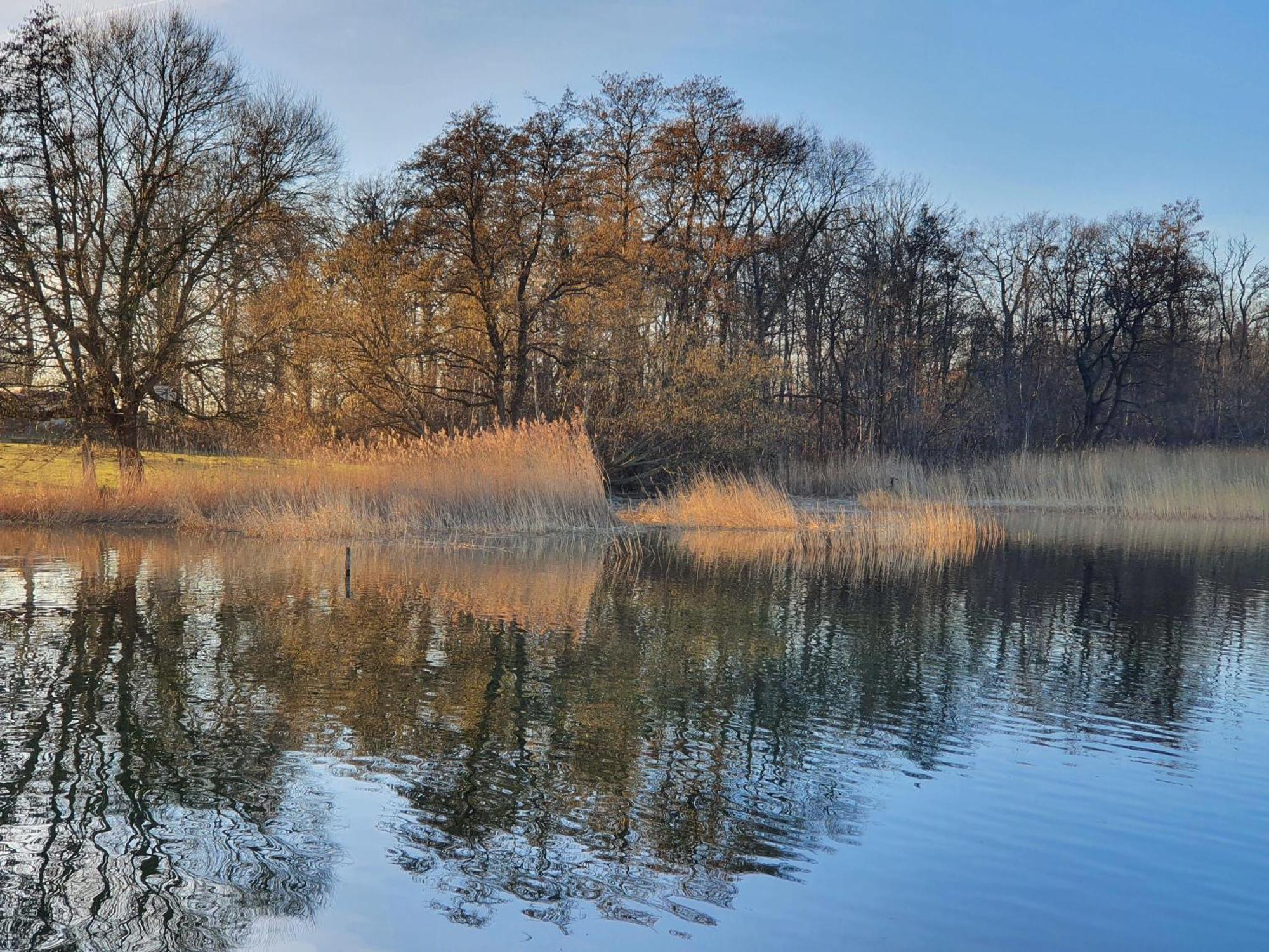 Idyllisches-Blockbohlenhaus-Mit-Eigenem-Garten-Und-Sauna-Zum-Wohlfuehlen Martensrade Kültér fotó